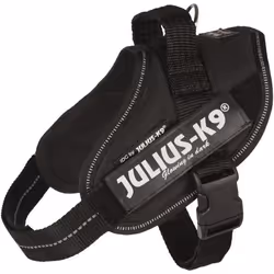 Julius-K9 14831, Chien, Harnais abdominal, Mini/M, Noir, Monochromatique, 49 cm