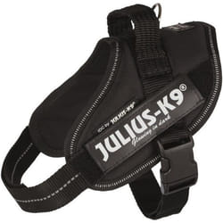 Julius-K9 14831 harnais pour chiens et chats Mini/M Noir Chien Harnais abdominal