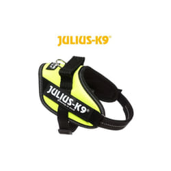 Julius K9 - Harnais idc power neon Désignation : Harnais mini 600224
