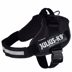 Julius-K9 14871, Chien, Harnais abdominal, XL-XXL, Noir, Monochromatique, 82 cm