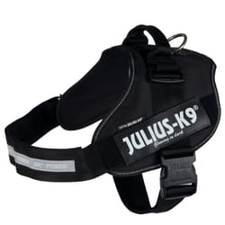 Julius-K9 14871 harnais pour chiens et chats XL-XXL Noir Chien Harnais abdominal