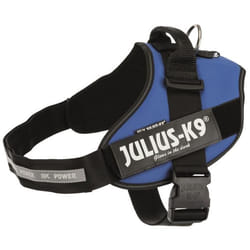JULIUS K9 Harnais Power IDC 3–XL-XXL : 82–115 cm - 50 mm - Bleu - Pour chien