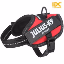 TRIXIE 14824 harnais pour chiens et chats XS Chien