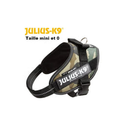 JULIUS K9 Harnais Power IDC Mini-M : 49-67 cm - 22 mm - Camouflage - Pour chien