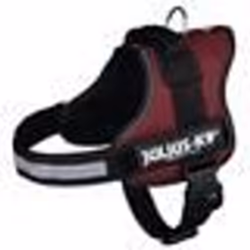 Harnais Power Julius-K9 - 3 - XL : 82-118 cm-50 mm - Bordeaux - Pour chien