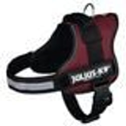 Harnais Power Julius-K9 - 3 - XL : 82-118 cm-50 mm - Bordeaux - Pour chien