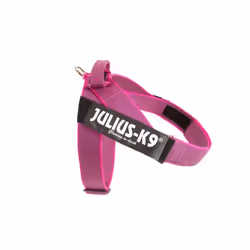 Julius-K9 16501-IDC-PN-15, Chien, Harnais avec laisse, L, Rose, Polyester, Afghan Hound, Bouledogue, Dalmatian, Berger allema ...