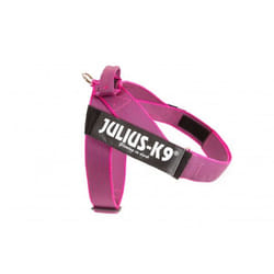 Julius-K9 16501-IDC-PN-15 harnais pour chiens et chats L Rose Polyester Chien Harnais avec laisse