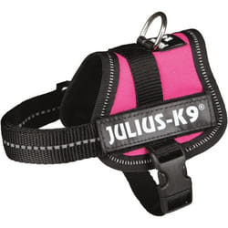 Harnais Power Julius-K9 - Baby 1 - XS : 30-40 cm-18 mm - Fuchsia - Pour chien