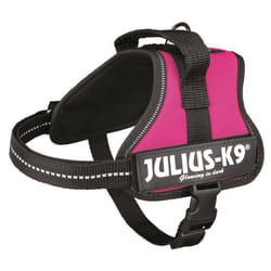 TRIXIE 150108 harnais pour chiens et chats XS Chien