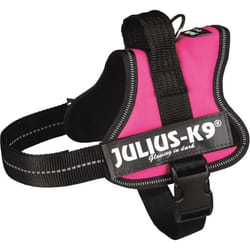 Harnais Power Julius-K9 - Mini - M : 51-67 cm-28 mm - Fuchsia - Pour chien