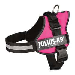 Harnais Power Julius-K9 - 1 - L : 66-85 cm-50 mm - Fuchsia - Pour chien