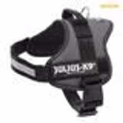 Harnais - Julius-K9 - Power - Taille XL - Aigue-marine - 82-118 cm - 50 mm