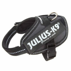 Julius K9 IDC Harnais - Chiot 2 Anthracite