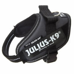Julius K9 IDC Mini Mini - Anthracite