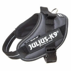 Julius K9 IDC Mini - Anthracite