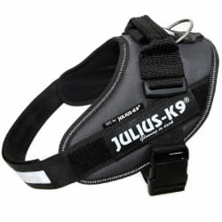 Julius K9 IDC Harnais - Anthracite 0