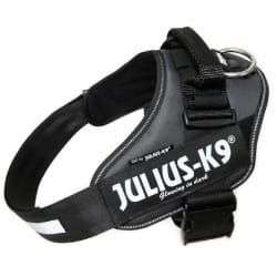 Julius K9 IDC Harnais - Anthracite Taille 1