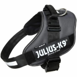 Julius K9 IDC - Anthracite