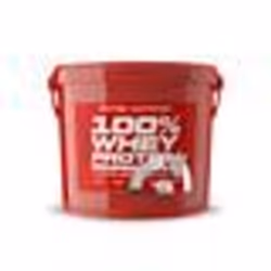 Scitec Nutrition 100% Whey Protein Professional Redesign 5000 g Eimer (Schokolade)
