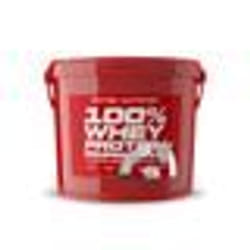 Scitec Nutrition 100% Whey Protein Professional Redesign 5000 g Eimer (Schokolade)