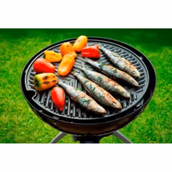 Cadac 8600-200 accessoire de barbecue / grill Réseau
