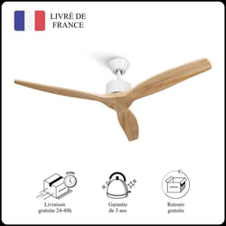 Mellerware - Ventilateur de plafond avec télécommande Brizy! Bright 45W  Silencieux  3 lames 132cm  6 vitesses  Bois clair