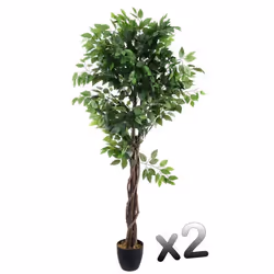 Lot de 2 plantes artificielles Ficus Pot Haute...