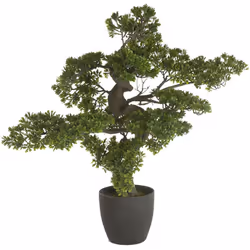 Ce bonsai artificiel de grande taille peut apporter un peu de verdure dans un salon contemporain. Idéal pour renforcer la déc ...