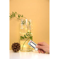 Kikkerland - Guirlande led