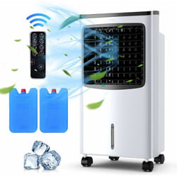 Rafraîchisseur d'air 3 en 1 COSTWAY 75W 127m³/h Noir