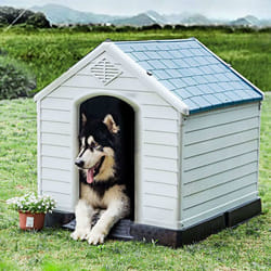 Costway - Niche pour Chien en Polypropylène Imperméable et Ventilé avec Bouche d'Aération et Plancher Surélever pour Utilisation Intérieure ou