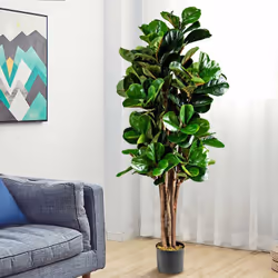 Attributs : 【Décoration intérieure et extérieure :】ce figuier à feuilles de violon artificiel est magnifique, avec de la mous ...