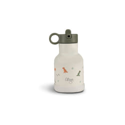 Citron Water Bottle 250 ml (Stainless Steel) Dino 250 ml
