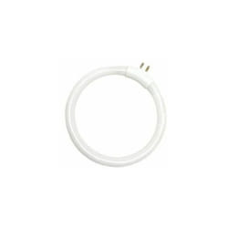 T4 12W 120mm G5 6400K tube fluorescent circulaire