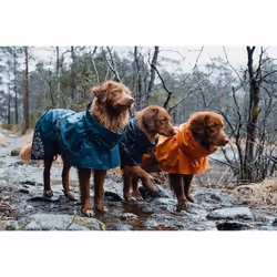 Hurtta MONSOON Bleu Tissu Chien Imperméable