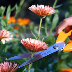 Fiskars 1001539 non classé - Vue supplémentaire 4