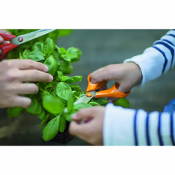 Fiskars 1001539 non classé - Vue supplémentaire 5