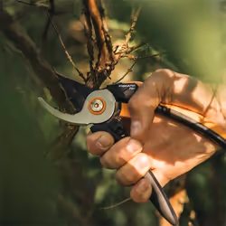Fiskars Solid L P341 sécateur Contournement Noir, Orange