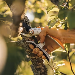 Fiskars P751 sécateur Contournement Orange