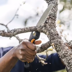 Scie droite Fiskars SW68; 15 cm