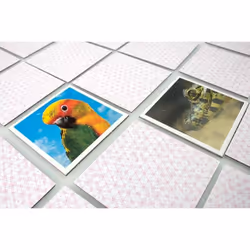 Tactic Animal Babies Memo Jeu de cartes Jeu de chance