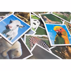 Tactic Animal Babies Memo Jeu de cartes Jeu de chance - Vue supplémentaire 5