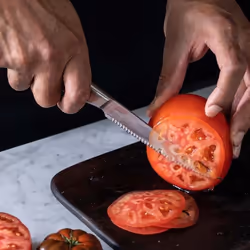 Couteau à tomates Fiskars All Steel 1062888; 24 cm