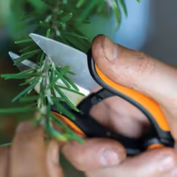 Ciseaux de cuisine Fiskars Herbs SP220
