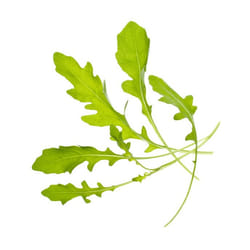 Tregren SEEDPOD11 kit de croissance et recharge 2 pièce(s) Fusée Remplir