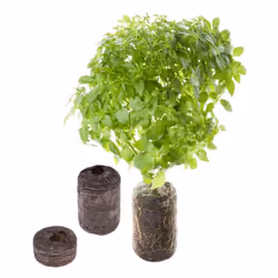 Tregren SEEDPOD11 kit de croissance et recharge 2 pièce(s) Fusée Remplir