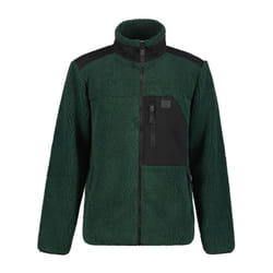 Polaire Icepeak Ardem