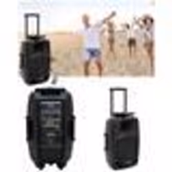 ENCEINTE SONO PRO PORTABLE SUR BATTERIE PARTY KARAOKE BLUETOOTH MOBILE USB MEGABASS + TELECOMMANDE + 2 Micros sans fil