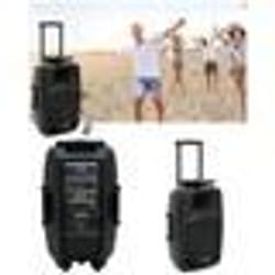 ENCEINTE SONO PRO PORTABLE SUR BATTERIE PARTY KARAOKE BLUETOOTH MOBILE USB MEGABASS + TELECOMMANDE + 2 Micros sans fil